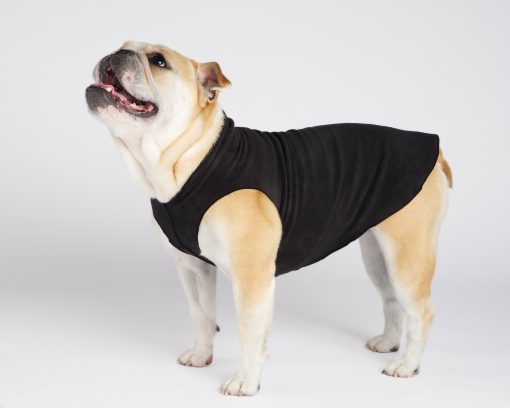 stretch fleece pullover fra gold paw